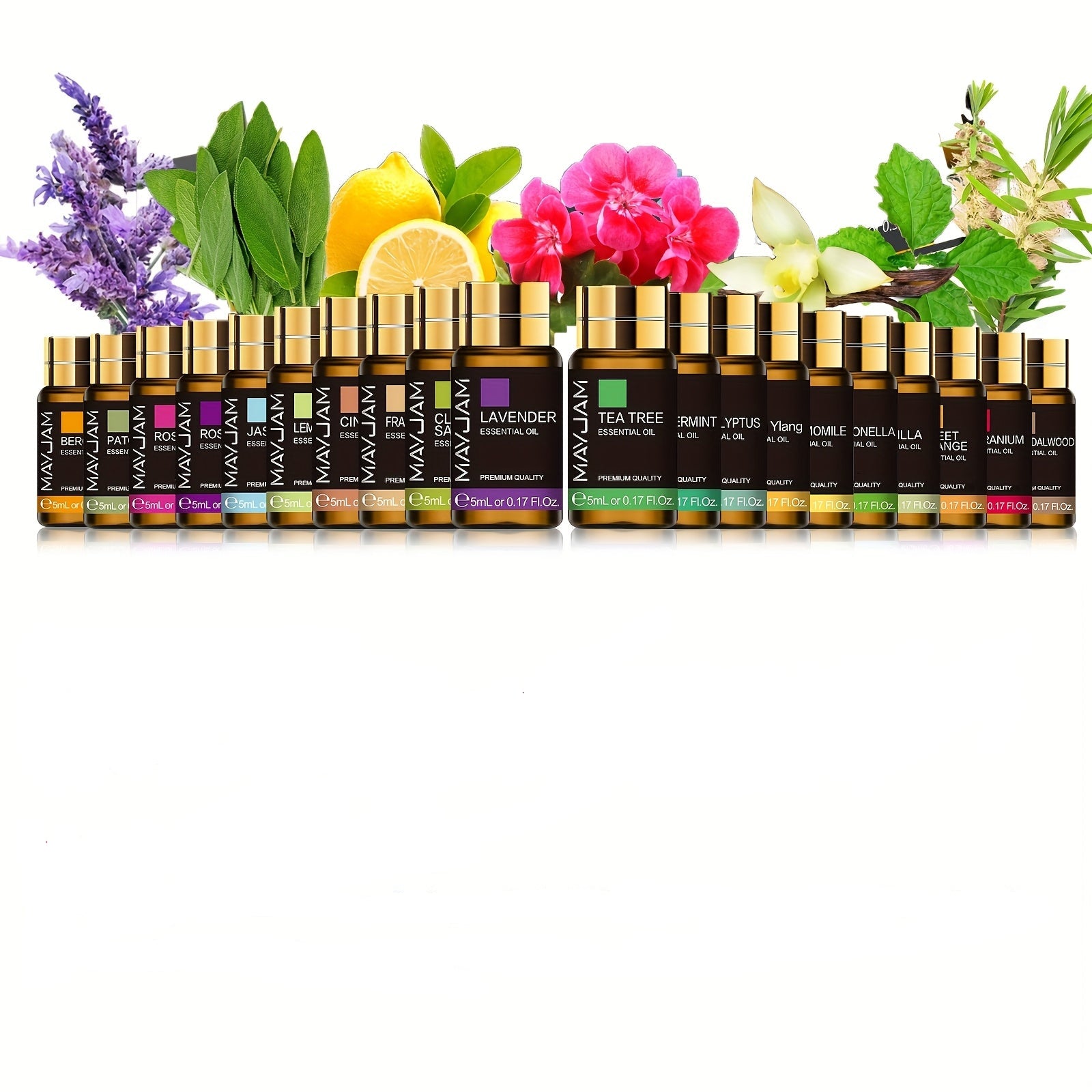 Set of 20 Essential Oils (5ml each)